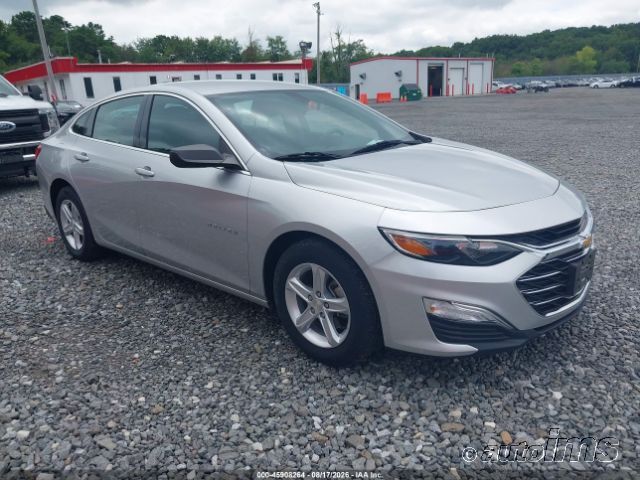 2019 CHEVROLET Malibu