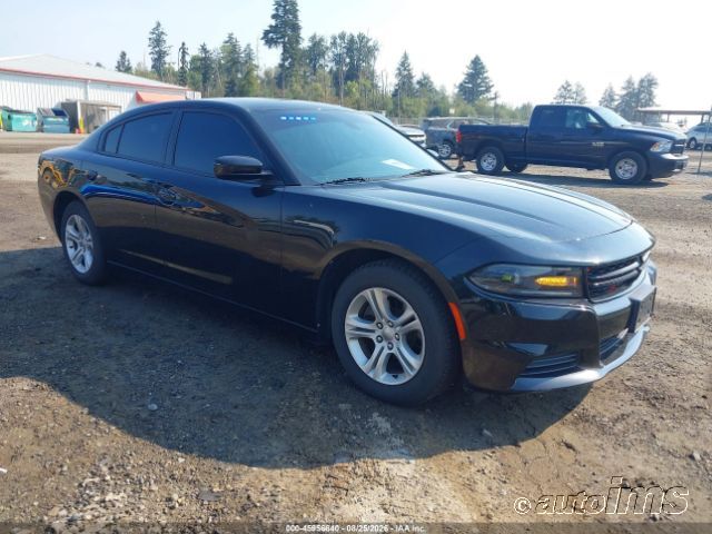 2019 DODGE Charger