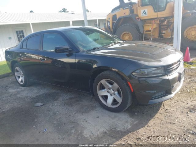 2019 DODGE Charger