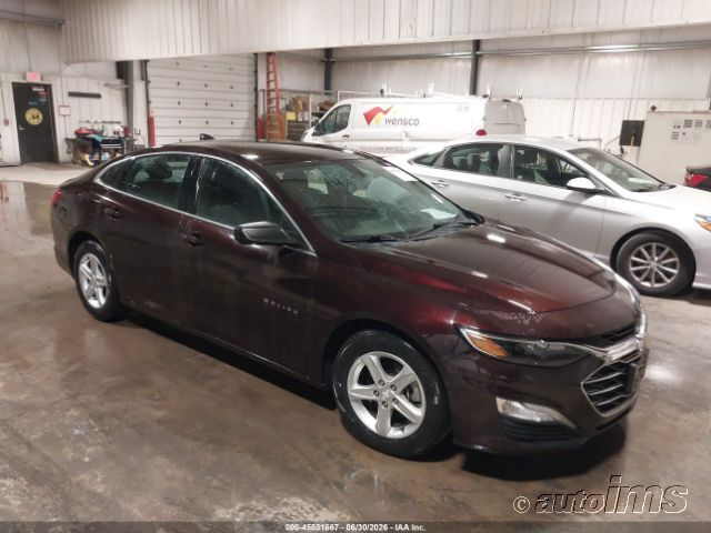 2020 CHEVROLET Malibu