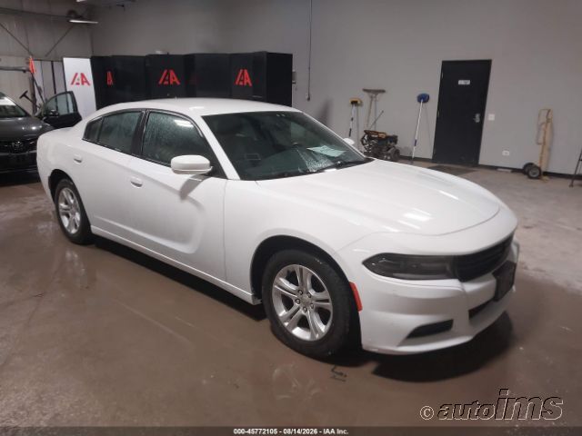 2019 DODGE Charger