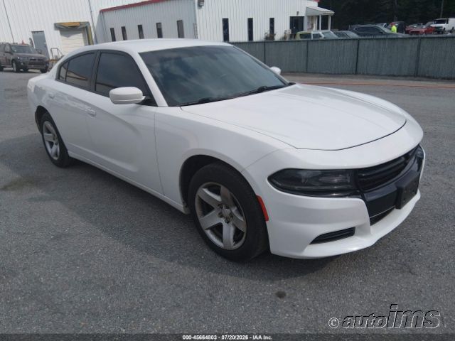 2019 DODGE Charger