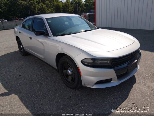 2019 DODGE Charger