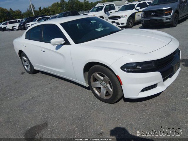 2019 DODGE Charger