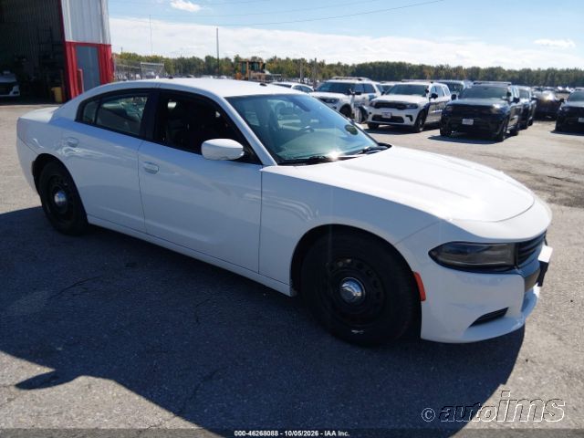 2019 DODGE Charger