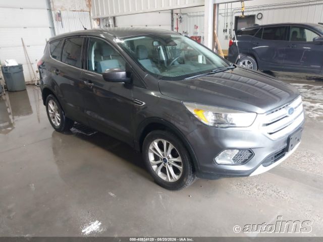 2019 FORD Escape