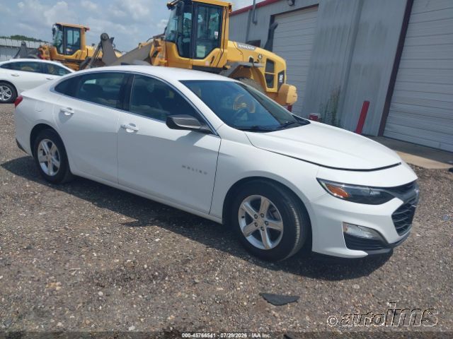 2020 CHEVROLET Malibu
