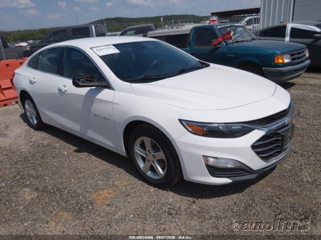 2020 CHEVROLET Malibu
