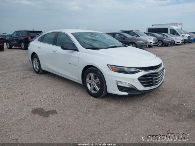 2019 CHEVROLET Malibu