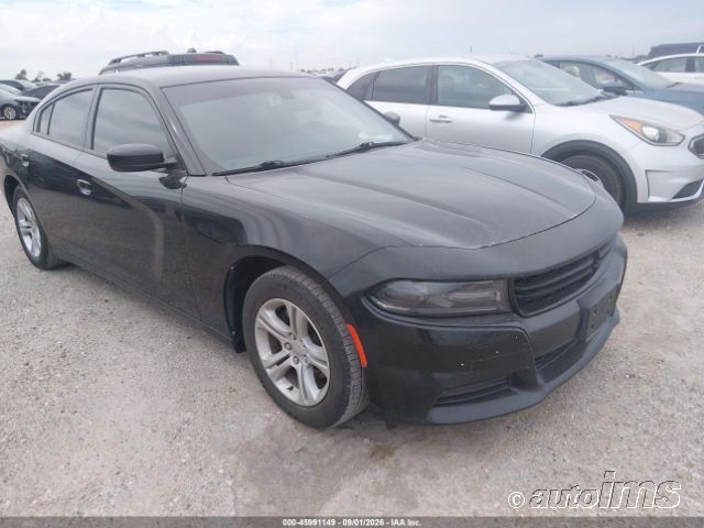 2019 DODGE Charger
