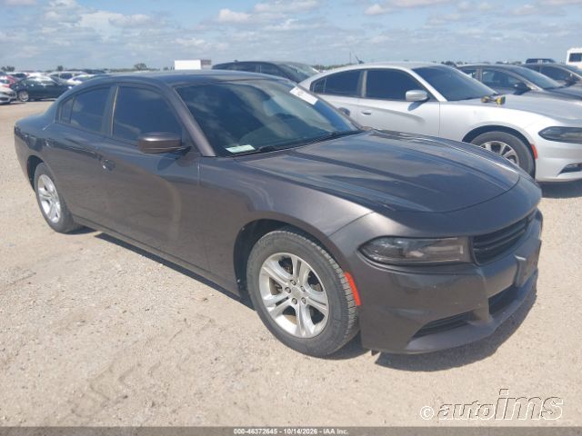 2019 DODGE Charger