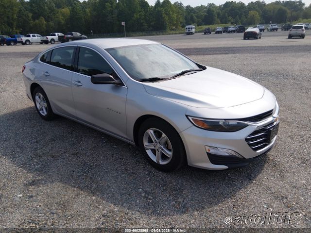 2019 CHEVROLET Malibu