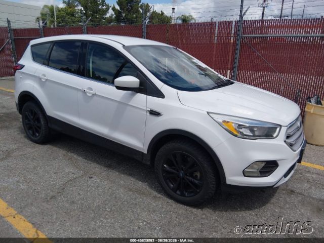 2019 Ford Escape