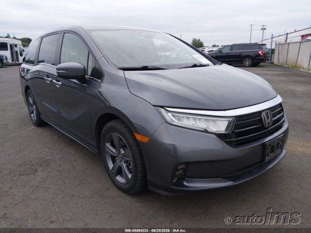 2023 Honda Odyssey