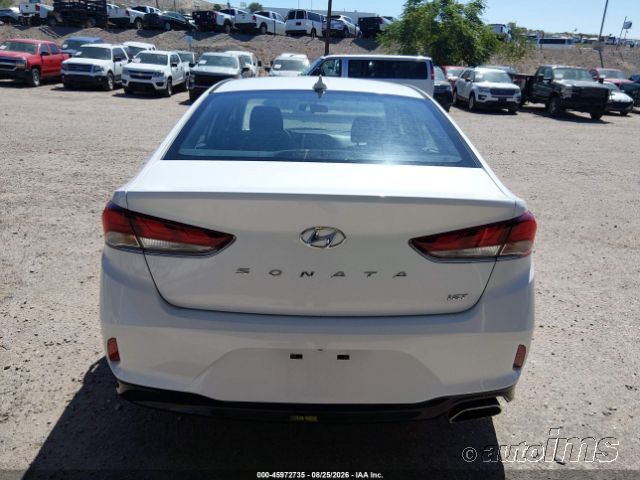 2019 Hyundai Sonata photo 6