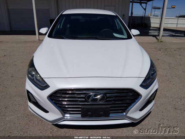 2019 Hyundai Sonata photo 2