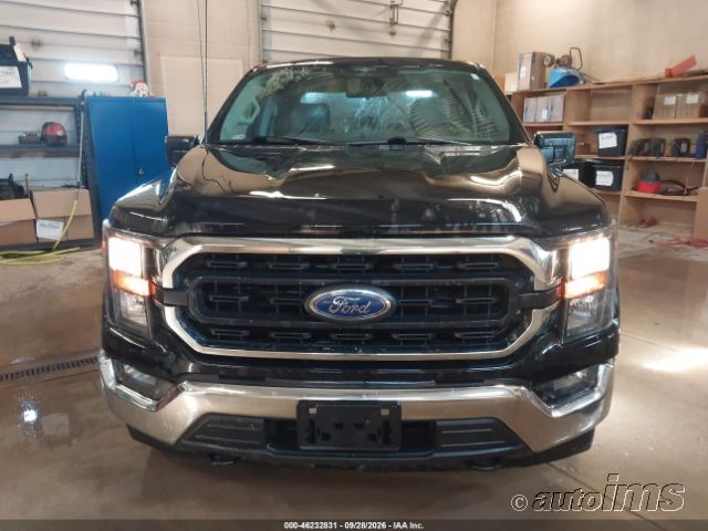 2023 Ford F-150 photo 3