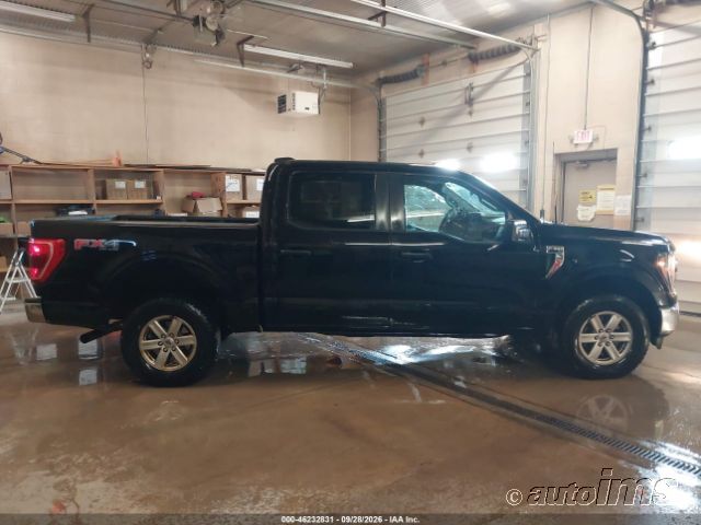 2023 Ford F-150 photo 4