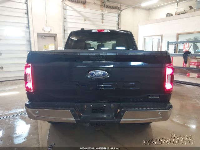 2023 Ford F-150 photo 7