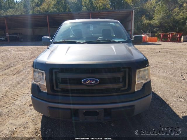 2013 Ford F-150 photo 2