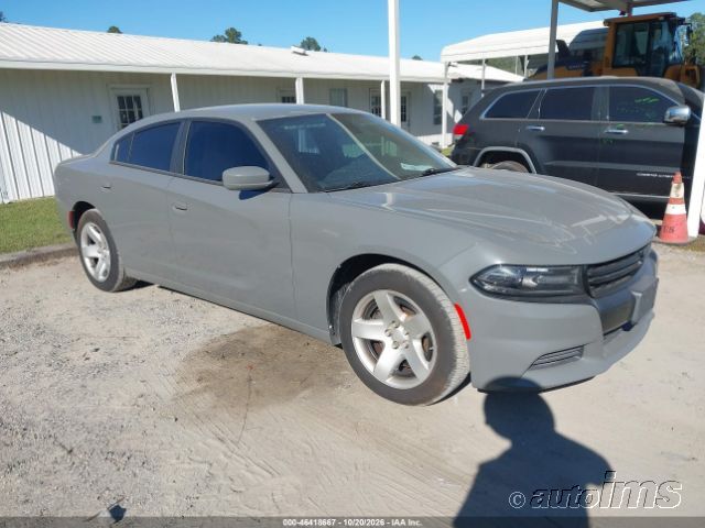 2019 DODGE Charger