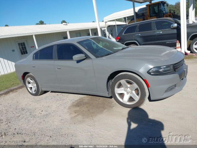 2019 Dodge Charger photo 3