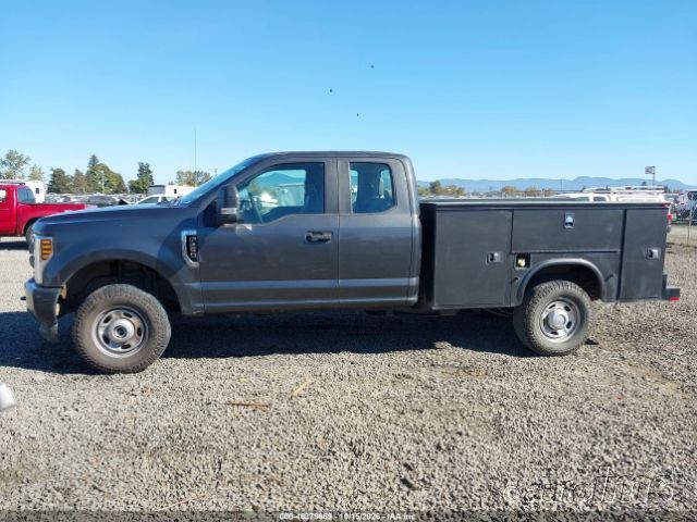 2019 Ford F-250 photo 5