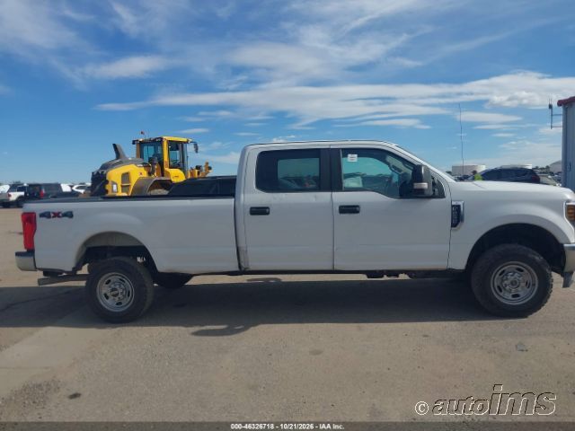 2019 Ford F-250 photo 4