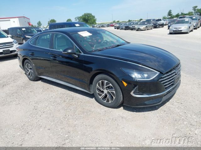2021 Hyundai Sonatahybr